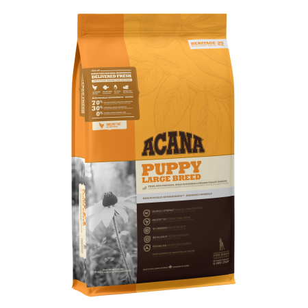 Acana Large Breed Dry Puppy Food, 11.4 kg - أكانا لارجي بريد — للكلاب طعام جاف الجِراء، 11.4 كجم
