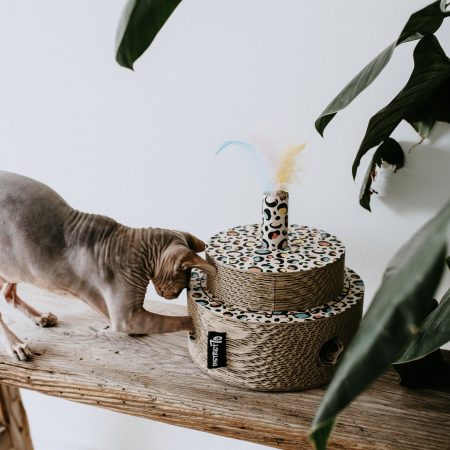 District 70 FIESTA, Sprinkle - ديستريكت 70 فيستا