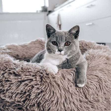 District 70 FUZZ Fluffy Donut Bed, Sand - ديستريكت 70 فوزز