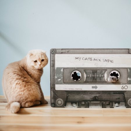 District 70 MIXTAPE, Retro Cardboard Cat Scratcher - ديستريكت 70 ميكستابي — للقطط