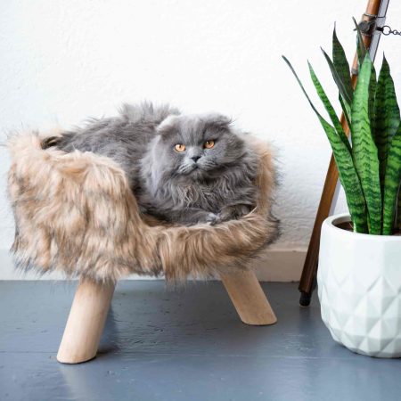 District 70 NORDIC, Scandinavian Cat Bed - ديستريكت 70 نورديك — للقطط طعام رطب