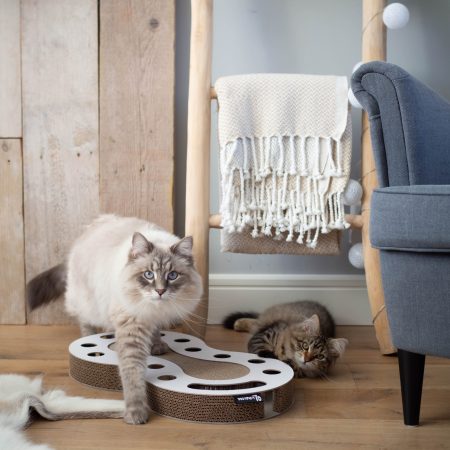 District 70 SNAKE Multifunctional Cat Toy, White - ديستريكت 70 سناكي — للقطط