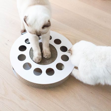 District 70 WHIRL Multifunctional Cat Toy, White - ديستريكت 70 وهيرل — للقطط