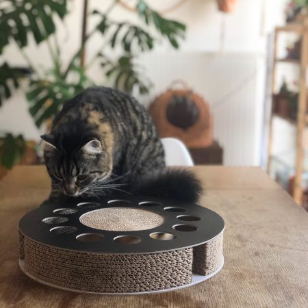 District 70 WHIRL Multifunctional Cat Toy, Black - ديستريكت 70 وهيرل — للقطط