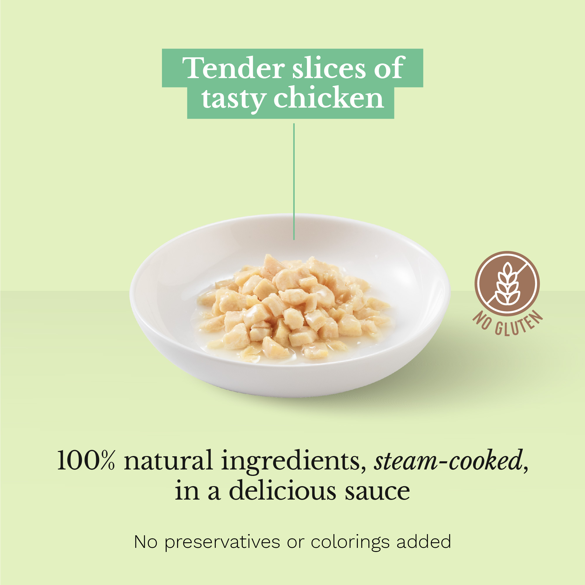 Schesir Chicken Thin Slices in Gravy Pouch Wet Cat Food, 85g - شيسير تشيكين ثين — للقطط طعام رطب بنكهة الدجاج، 85 جم - Image 2