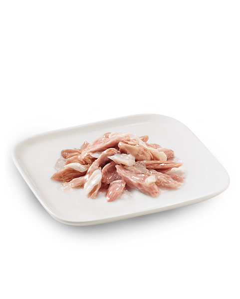 Schesir Multipack Tuna with Seabass Wet Dog Food, Pack of 4 x 85g - شيسير مولتيباك تونا — للكلاب طعام رطب بنكهة التونة، عدد 4 × 85 جم، 85 جم - Image 2