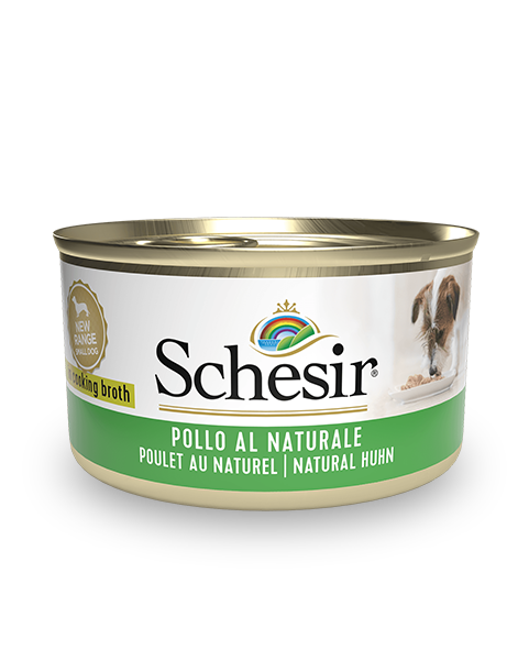 Schesir Natural Style Chicken Wet Dog Food, 85g - شيسير ناتورال ستيلي — للكلاب طعام رطب بنكهة الدجاج، 85 جم