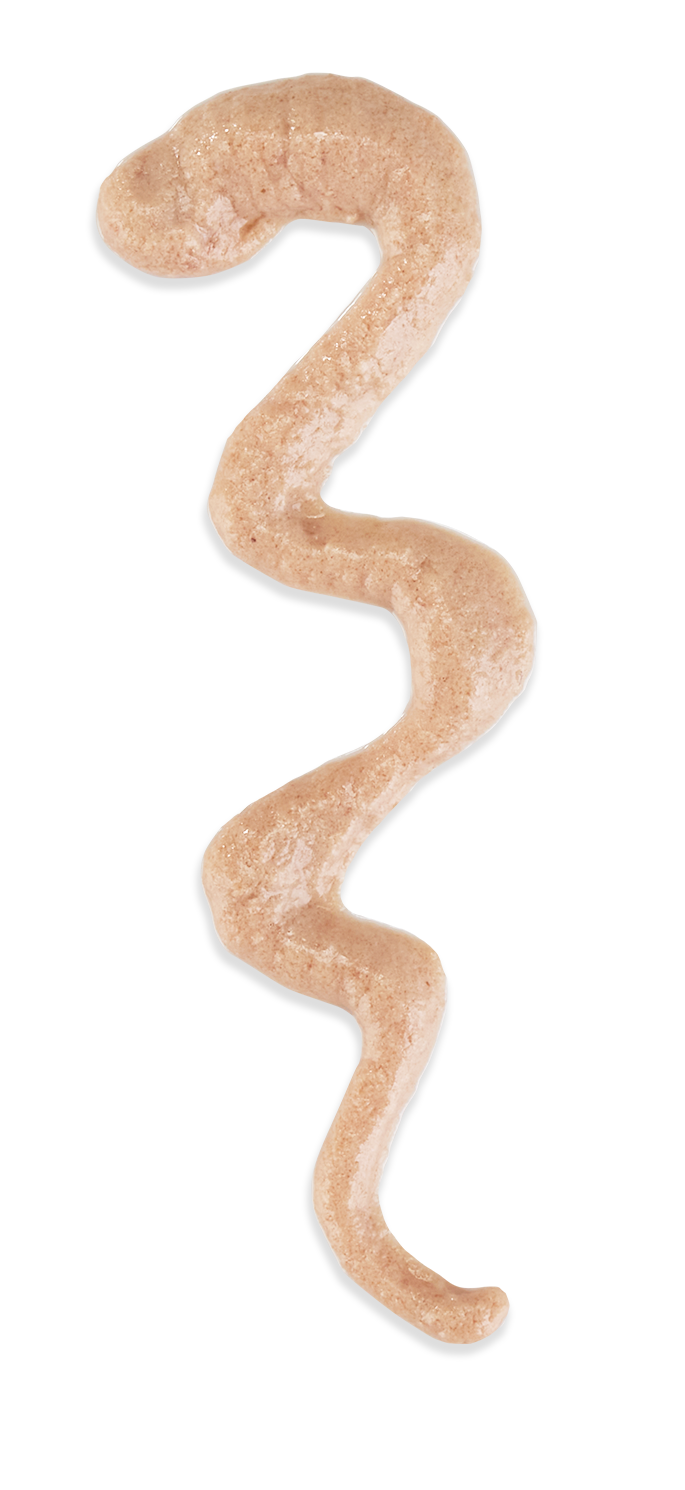 Schesir Stix! Chicken Mousse Cat Treat, 6 Pieces - شيسير ستيكس! تشيكين — للقطط مكافآت بنكهة الدجاج - Image 7