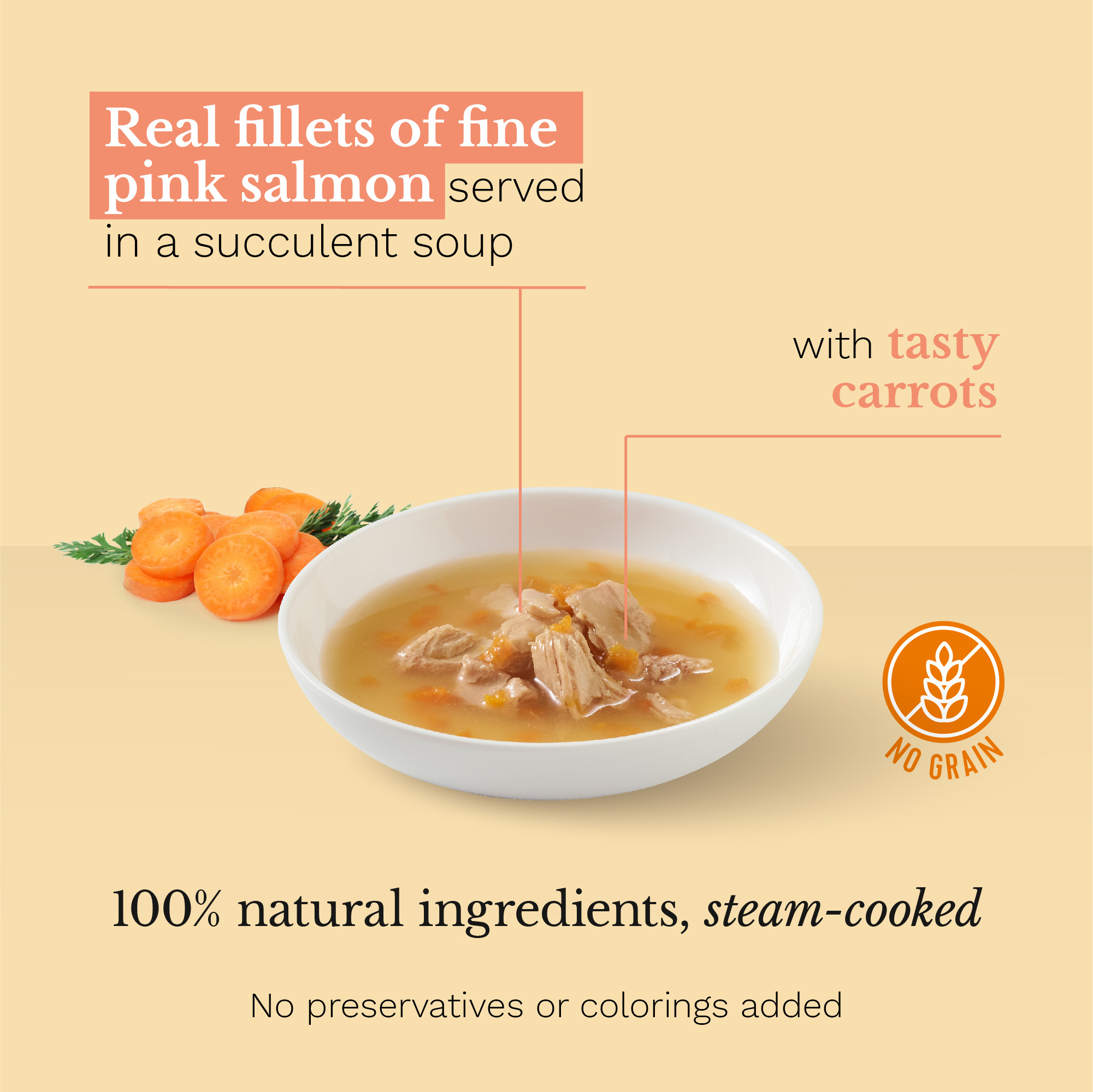 Schesir Soup Wild Pink Salmon & Carrots Wet Cat Food, 85g - شيسير سوب ويلد — للقطط طعام رطب بنكهة السلمون، 85 جم - Image 2