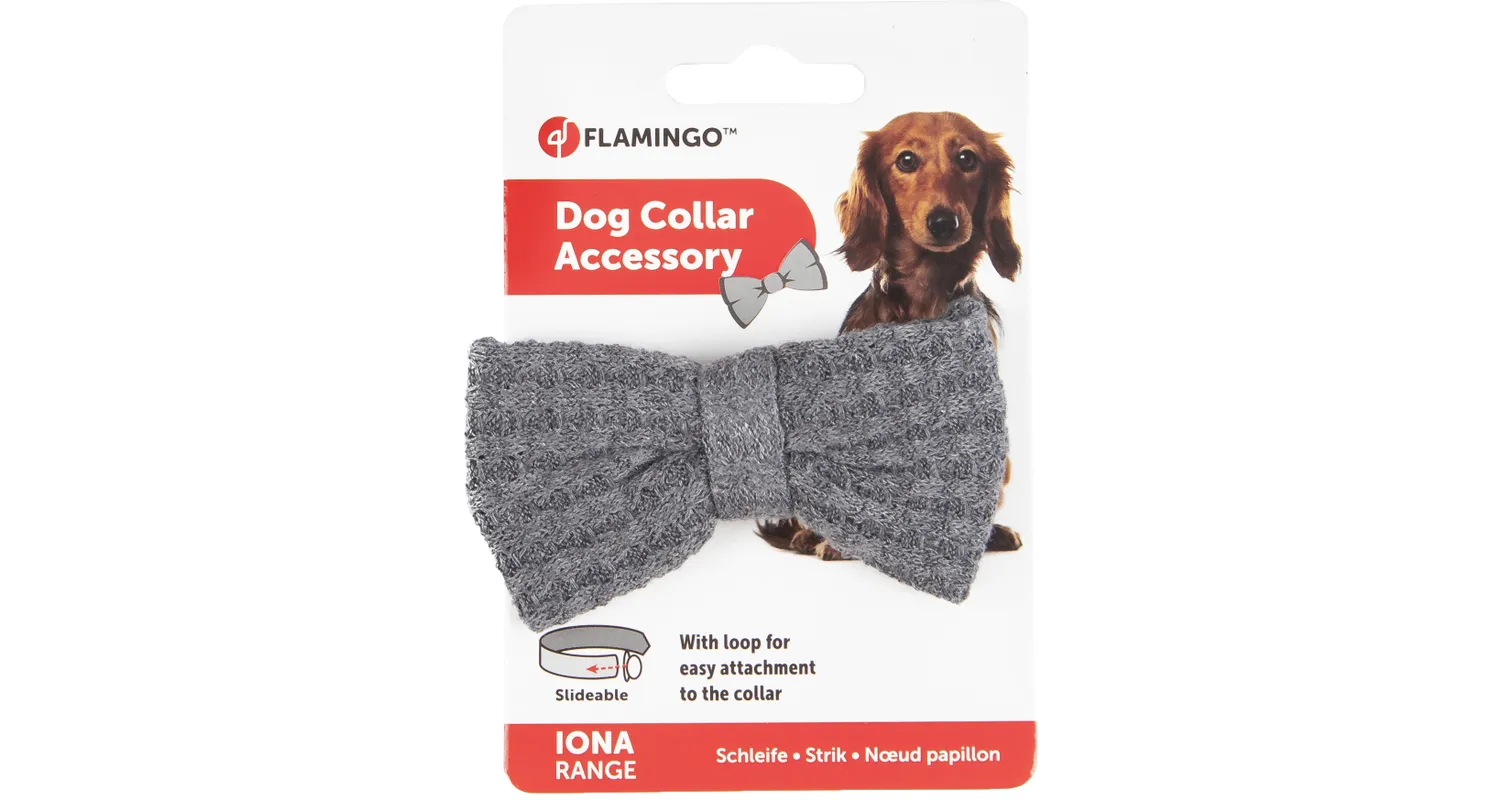 Flamingo Iona Anthracite Grey Dog Bow Tie - فلامينجو يونا انثراكيتي — للكلاب - Image 2