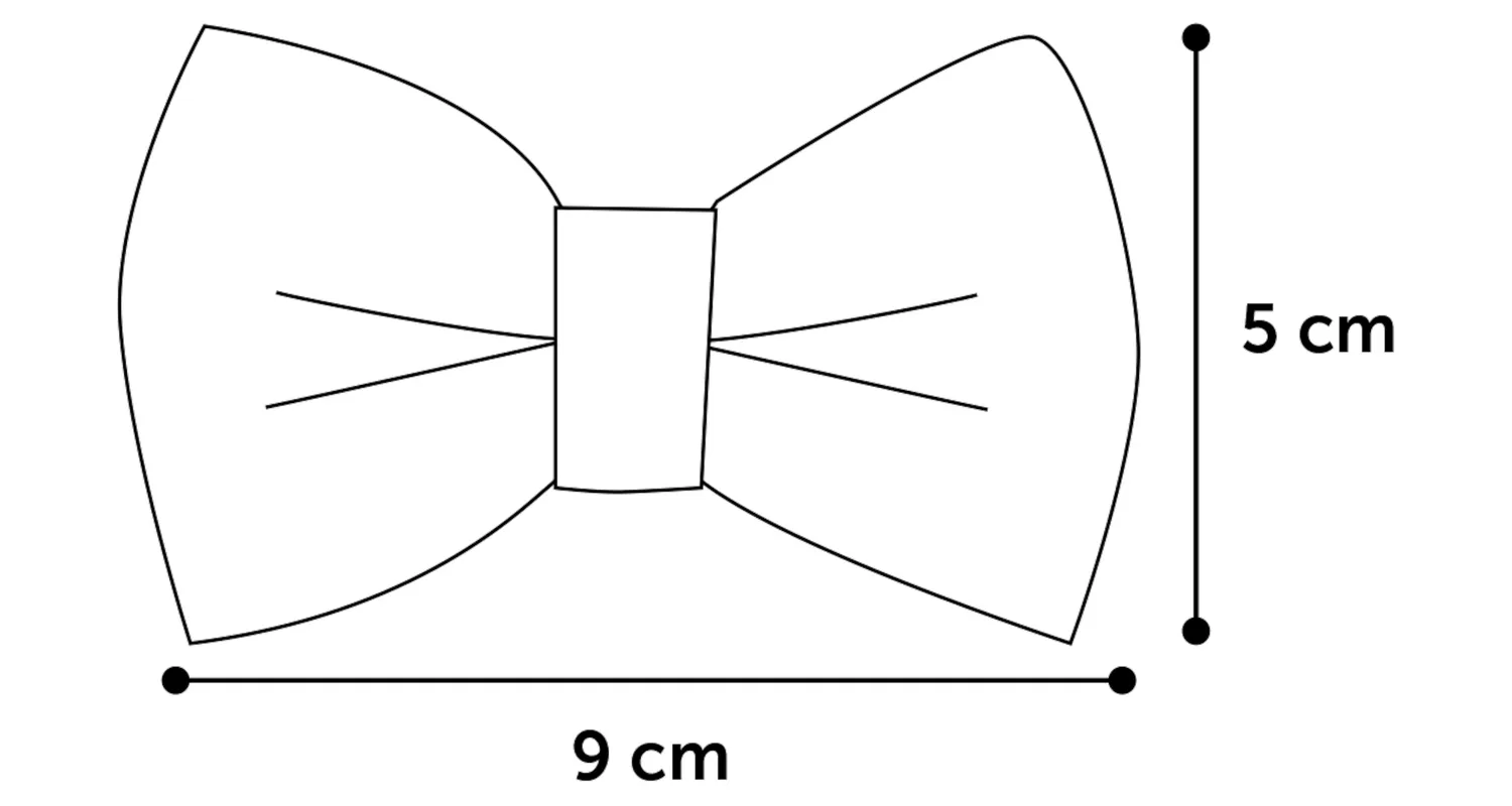 Flamingo Iona Anthracite Pink Dog Bow Tie - فلامينجو يونا انثراكيتي — للكلاب - Image 3