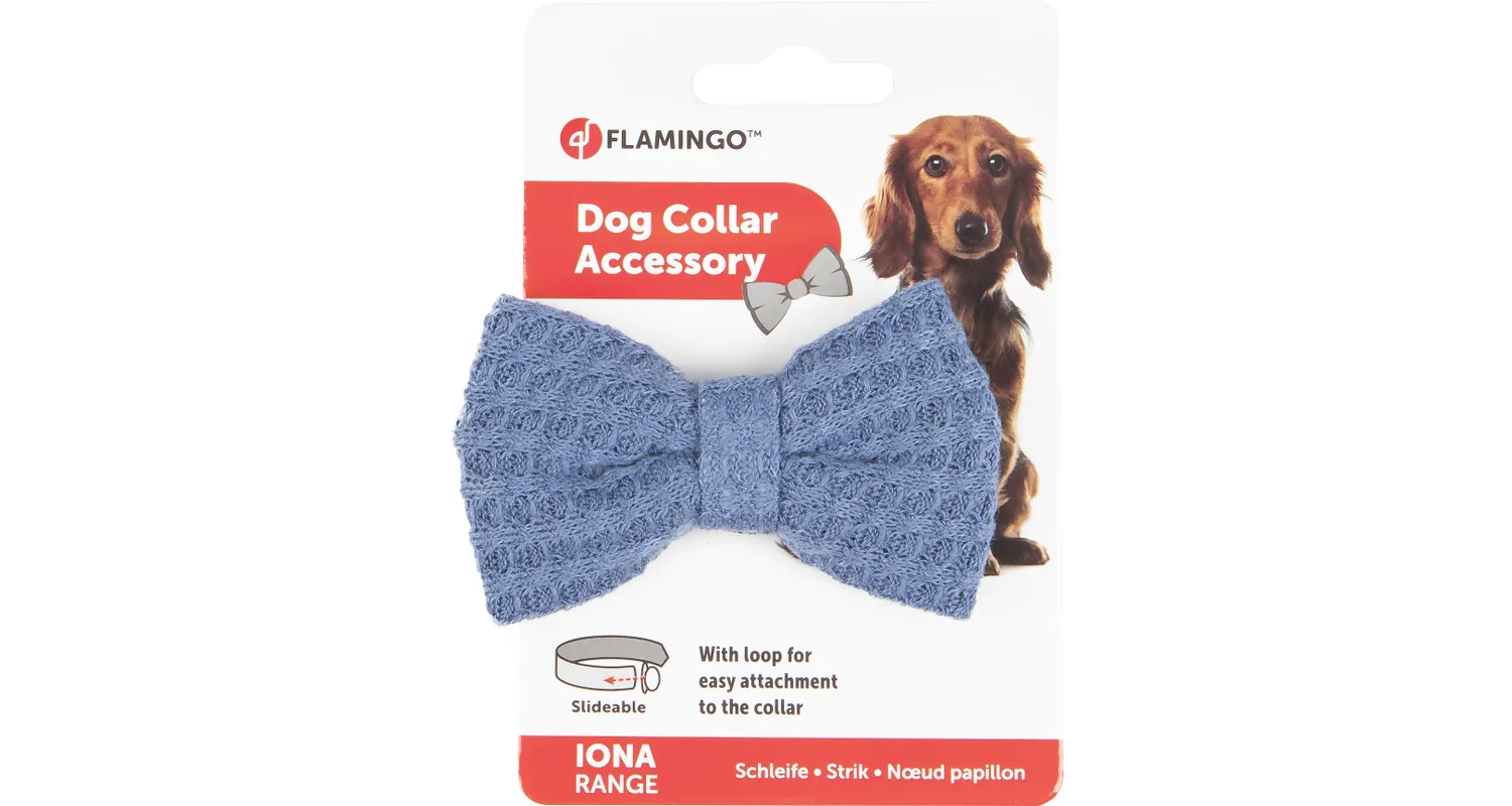 Flamingo Iona Anthracite Blue Dog Bow Tie - فلامينجو يونا انثراكيتي — للكلاب - Image 2