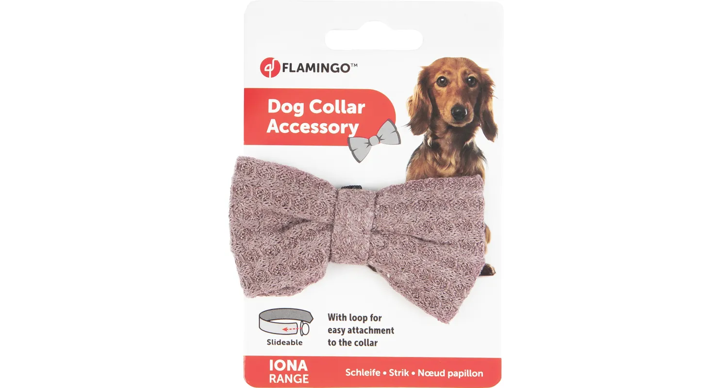 Flamingo Iona Anthracite Pink Dog Bow Tie - فلامينجو يونا انثراكيتي — للكلاب - Image 2