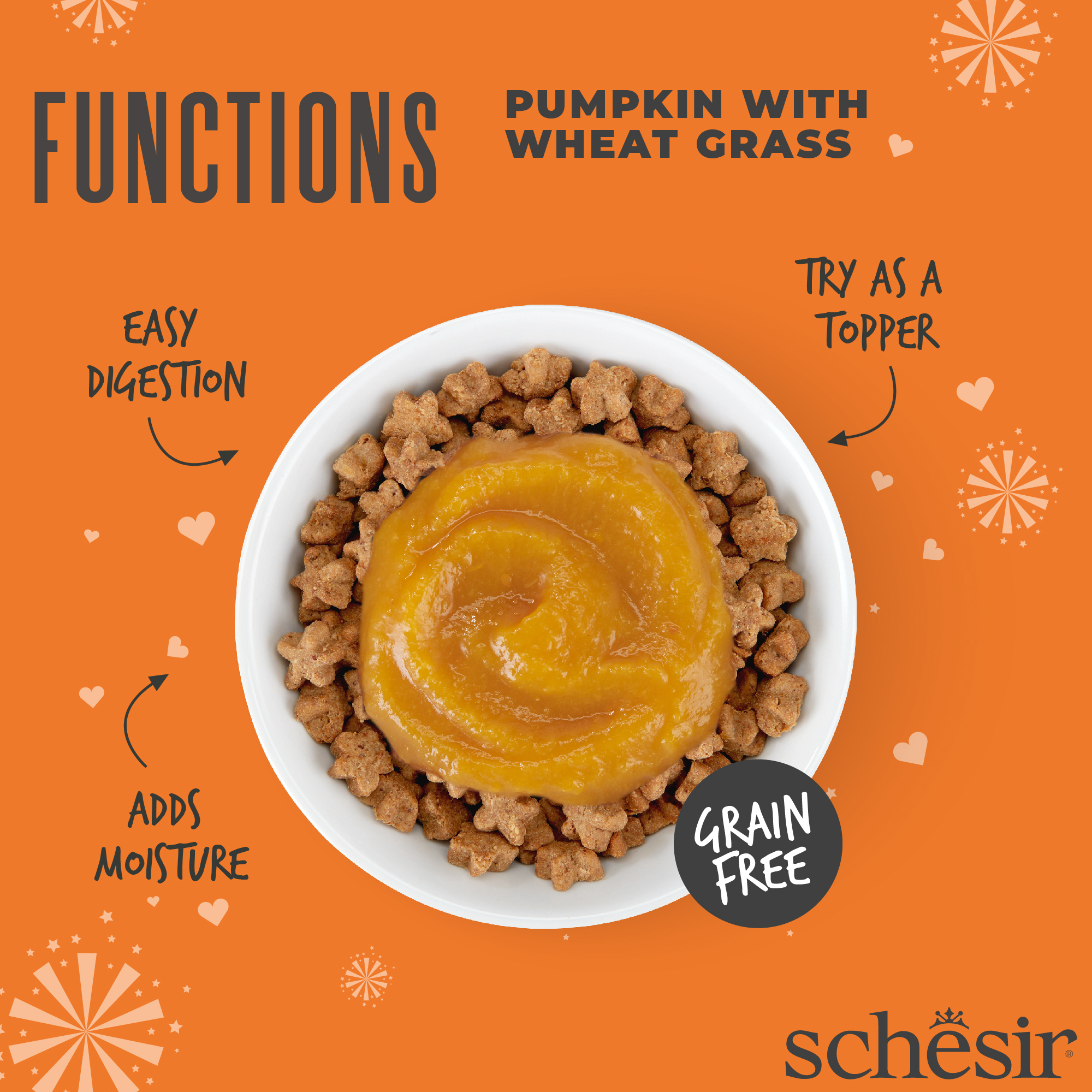 Schesir Functions Pumpkin with Wheat Grass Digestive Food Topper, 40g - شيسير فونكشنس بومبكين —، 40 جم - Image 2