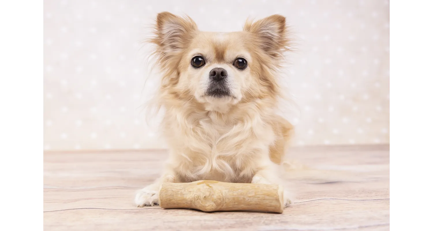 Flamingo Natural Chewy Wood Dog Toy - فلامينجو ناتورال تشيوي — للكلاب مكافآت - Image 2