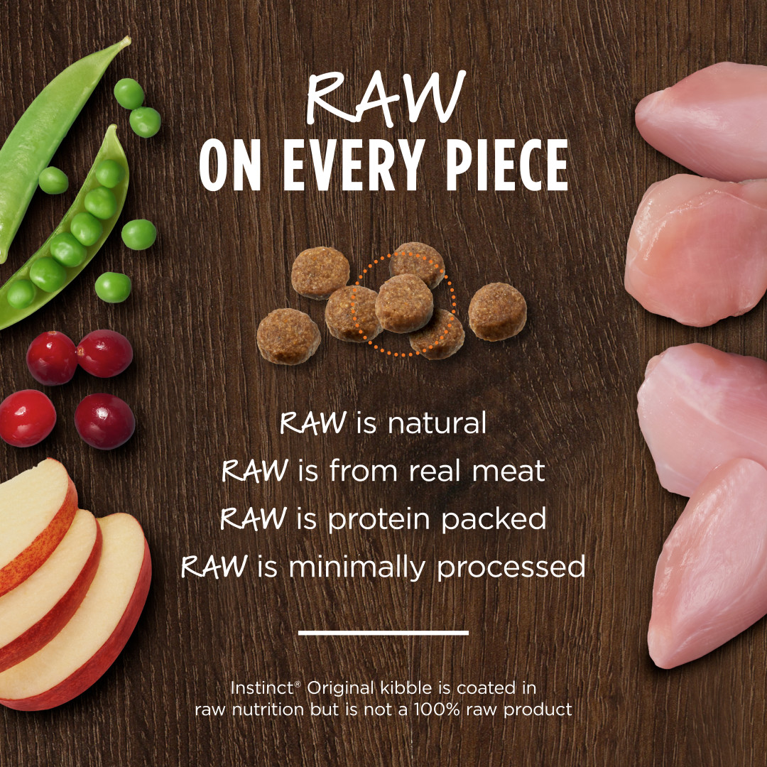 Instinct Original Real Rabbit Grain-Free Dry Cat Food - إنستينكت وريجينال ريال — للقطط طعام جاف بنكهة الأرنب خالٍ من الحبوب - Image 3