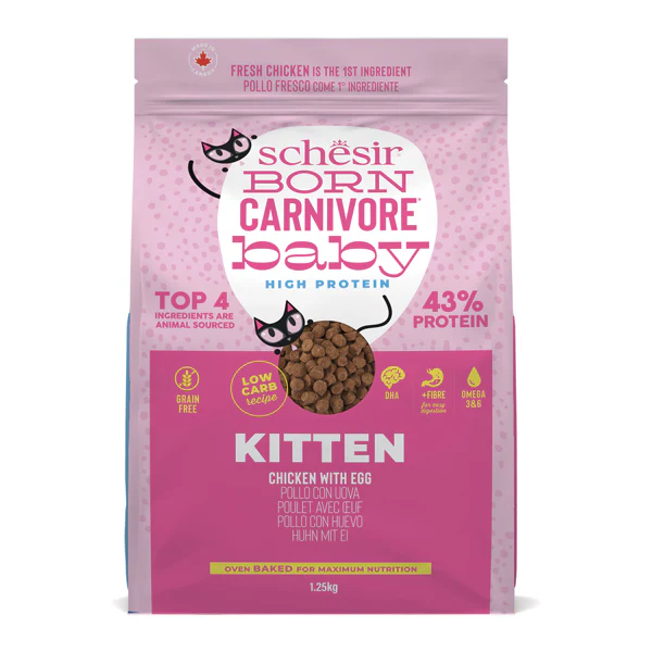 Schesir Born Carnivore Chicken with Egg Baby Oven BAKED Dry Kitten Food, 1.25kg - شيسير بورن كارنيفوري — للقطط طعام جاف بنكهة الدجاج القطط الصغيرة، 1.25 كجم