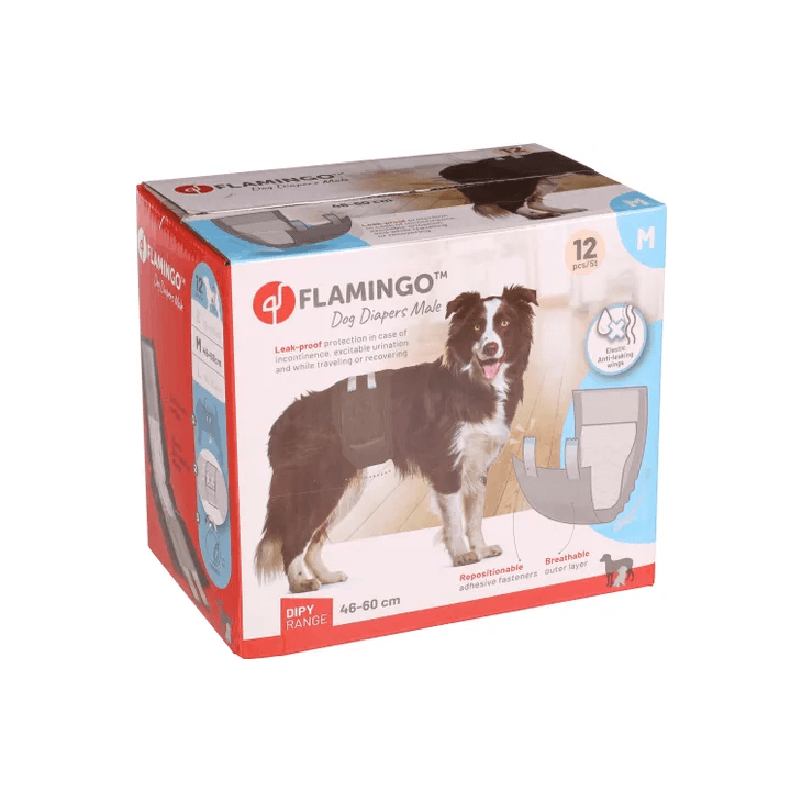 Flamingo Male Dog Diapers, Medium 12 Pcs - فلامينجو مالي — للكلاب