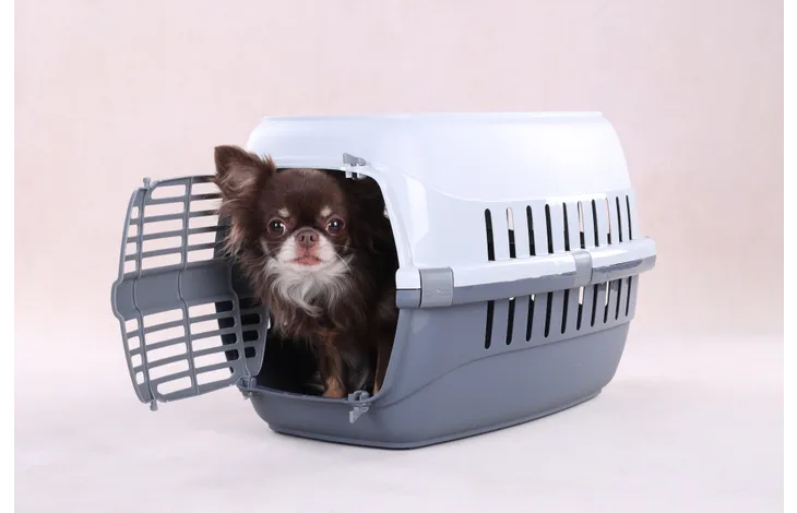 Flamingo Noah 1 Pet Carrier, Grey - فلامينجو نواه 1 - Image 5