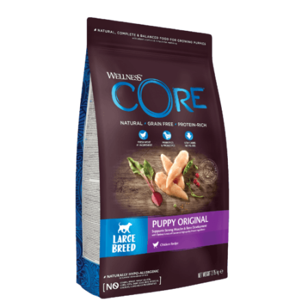 Wellness CORE Original Large Breed Chicken Recipe Dry Puppy Food, 2.75Kg - أويللنيسس كوري وريجينال — للكلاب طعام جاف بنكهة الدجاج الجِراء، 2.75 كجم