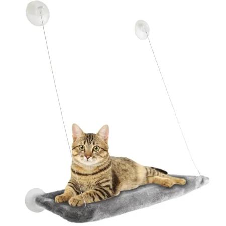 Flamingo Cat Window Lounge - فلامينجو — للقطط