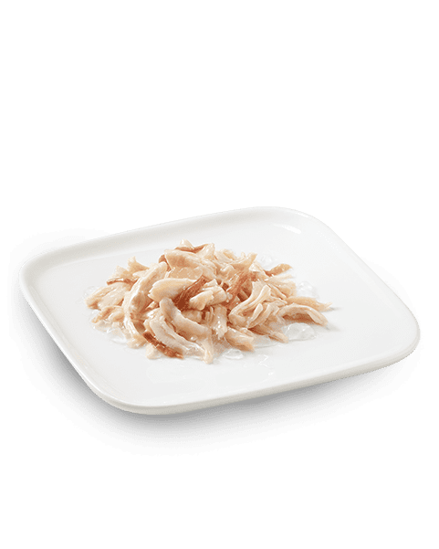 Schesir Multipack Chicken with Beef Wet Dog Food, Pack of 4 x 85g - شيسير مولتيباك تشيكين — للكلاب طعام رطب بنكهة الدجاج، عدد 4 × 85 جم، 85 جم - Image 2