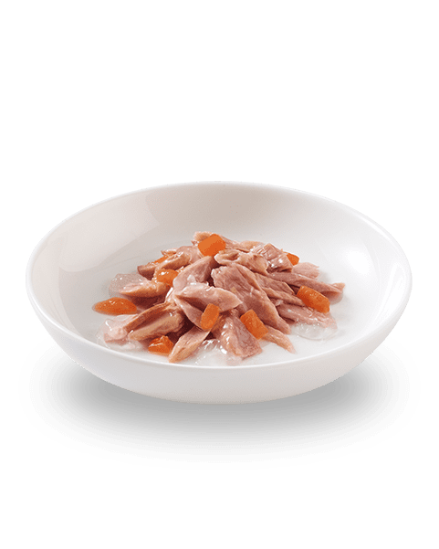 Schesir Organic Chicken Wet Cat Food, 85g - شيسير أورجانيك تشيكين — للقطط طعام رطب بنكهة الدجاج، 85 جم - Image 2