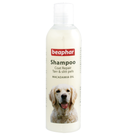 Beaphar Shampoo Macadamia Oil for Dogs, 250ml - بيبفار — للكلاب، 250 مل