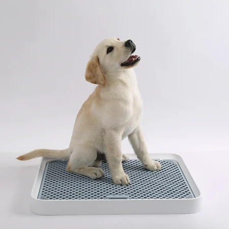PetKit Pura Dog Training Pee Tray - بيتكيت بورا — للكلاب