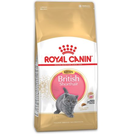 Royal Canin British Shorthair Dry Kitten Food - رويال كانين بريتيش — للقطط طعام جاف القطط الصغيرة