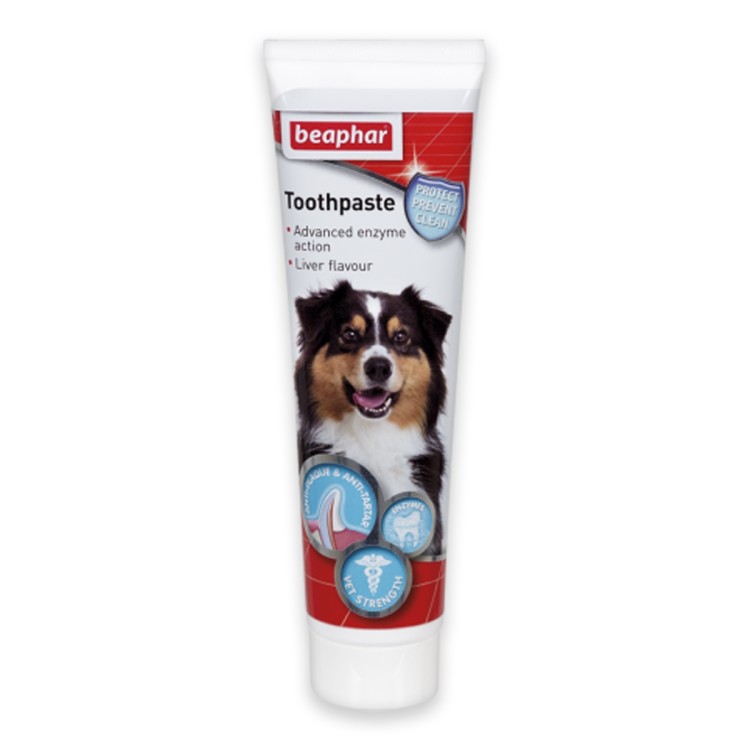 Beaphar Toothpaste for Pets, 100g - بيبفار توثباستي فور —، 100 جم