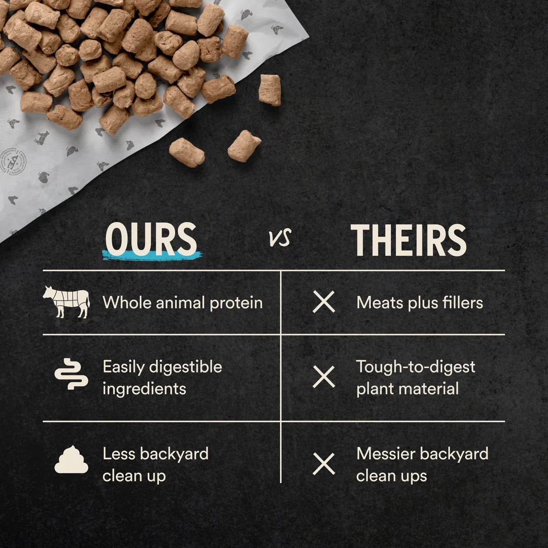 Vital Essentials Beef Crunchy Mini Nibs Dry Dog Food, 5.5 oz - فيتال يسسينتيالس بيف — للكلاب طعام جاف بنكهة اللحم البقري - Image 5