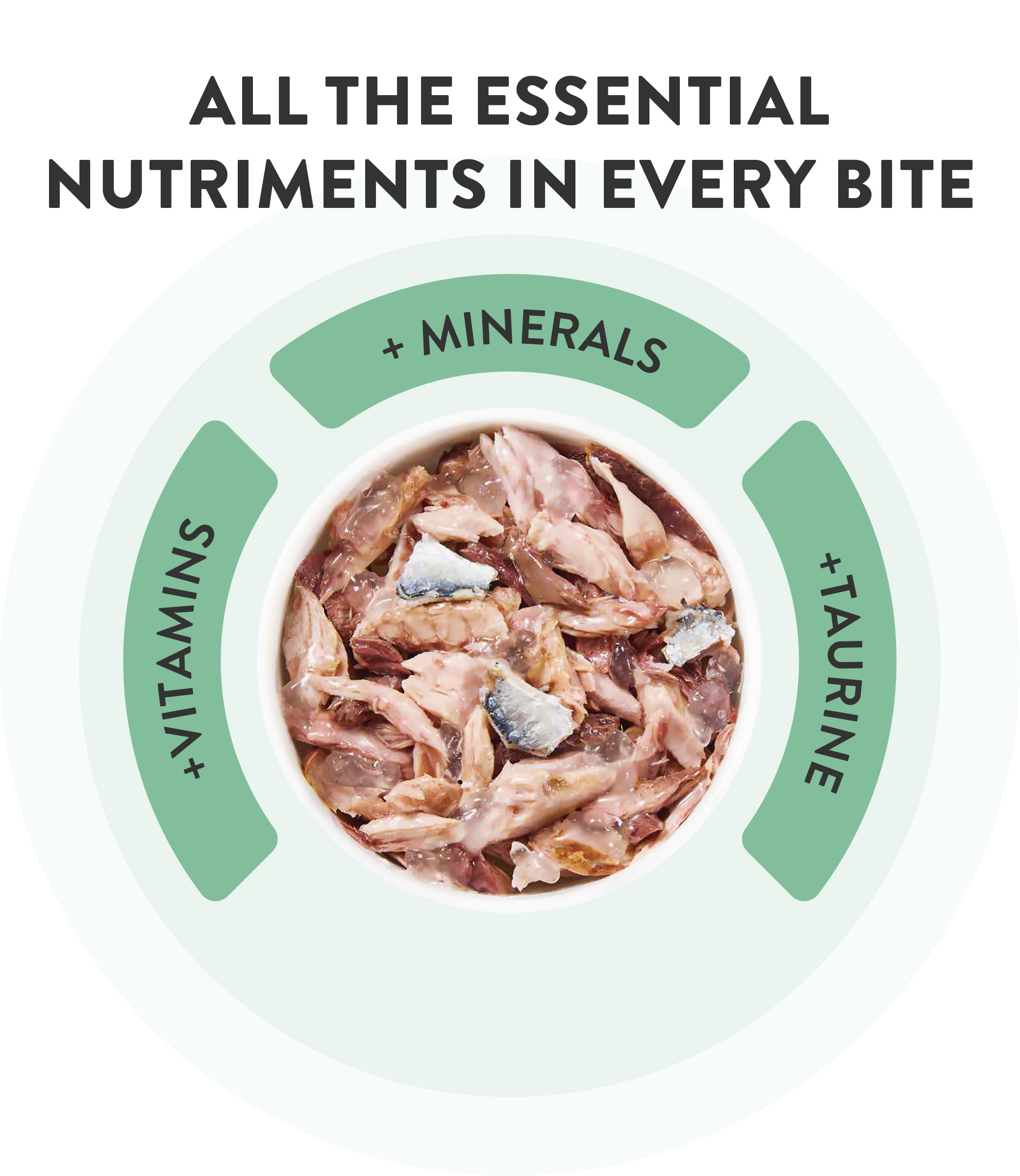 Schesir Complete Nutrition Tuna with Beef in Jelly Wet Cat Food, 140g - شيسير كومبليتي نوتريشن — للقطط طعام رطب بنكهة التونة، 140 جم - Image 4