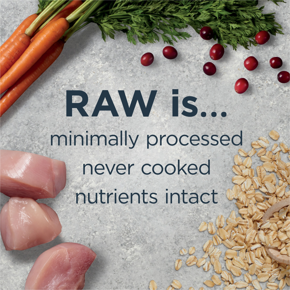 Instinct Raw Boost Whole-Grain Real Chicken & Brown Rice Dry Dog Food, 1.5kg - إنستينكت راو بوست — للكلاب طعام جاف بنكهة الدجاج، 1.5 كجم - Image 4