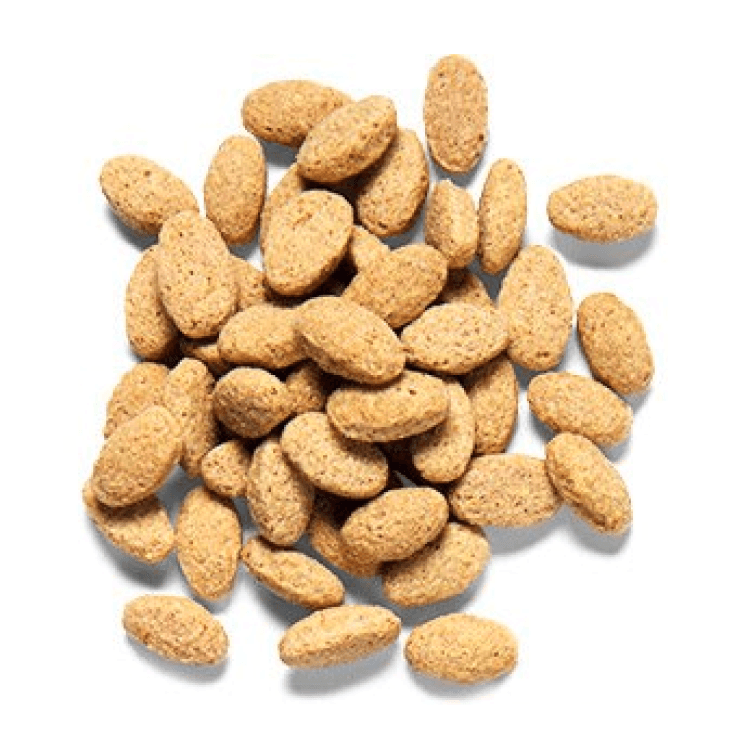 Zupreem Avion Diet for Parrots & Conures, 1.4kg - زوبريم افيون ديت —، 1.4 كجم - Image 2