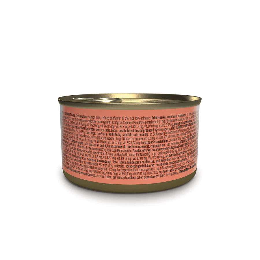 Schesir Complete Nutrition Salmon in Broth Wet Cat Food, 85g - شيسير كومبليتي نوتريشن — للقطط طعام رطب بنكهة السلمون، 85 جم - Image 2