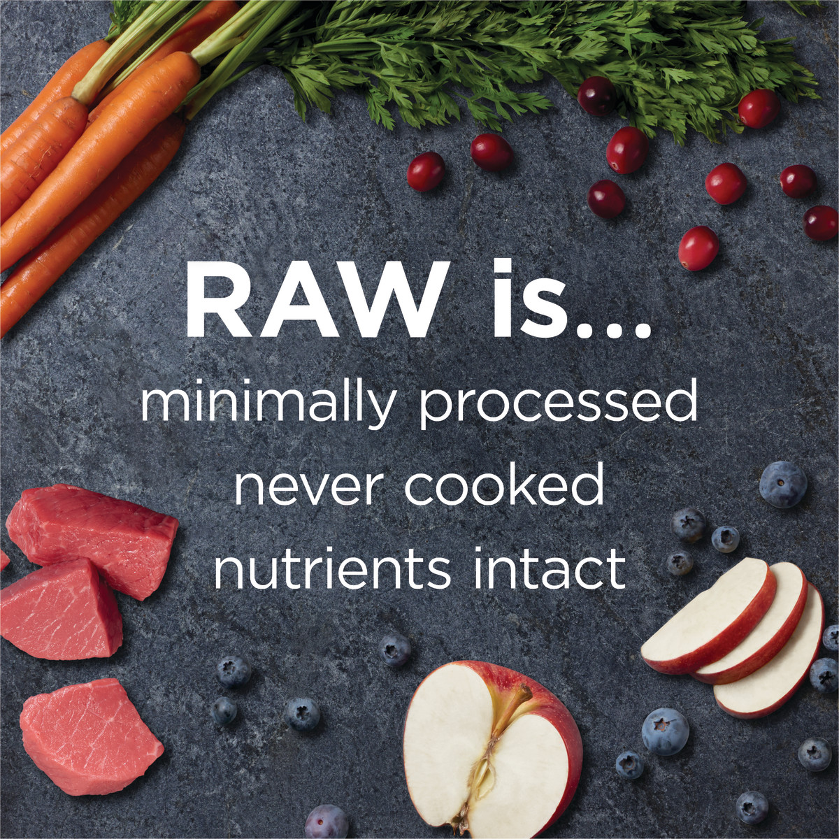 Instinct Raw Boost Real Beef Dry Dog Food, 1.5 kg - إنستينكت راو بوست — للكلاب طعام جاف بنكهة اللحم البقري، 1.5 كجم - Image 3