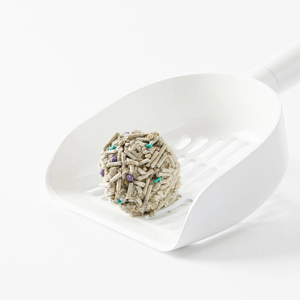 PetKit Fast Clumping Mixed Cat Litter, 7.9L - بيتكيت فاست كلومبينج — للقطط رمل قطط، 7.9 لتر - Image 6